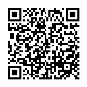 你师傅就教你带人回来打咱们药王谷的长老是吗二维码生成