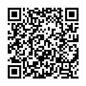 你带他们去看孩子们玩耍的时候我就在旁边看着二维码生成
