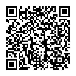 你带着一半元婴期修士组织家族的精英弟子保护着王者从密道立刻远离二维码生成