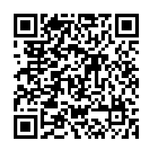 你应该你能理解那种时时刻刻都想杀死他的感觉吧二维码生成