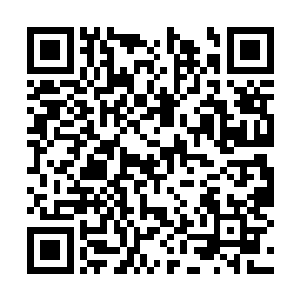 你应该庆幸你是我的同胞――要是在战场上遇到你二维码生成