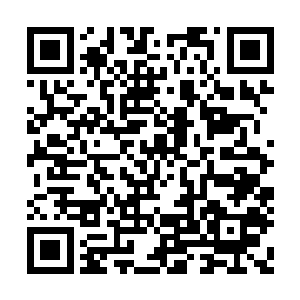 你应该是最近刚刚崛起的那个天剑宗的新任掌门二维码生成