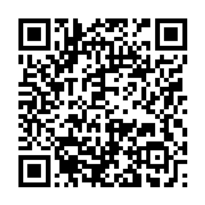 你应该说点什么的……毕竟你是南方剧作家的代表二维码生成
