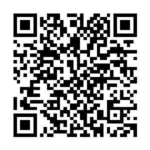 你应该问那些闯空门的人为什么要来闯一间什么都没有的大棚屋二维码生成