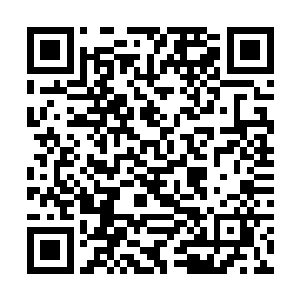 你应该顺着傻蛋的话趁机表达你对她暗恋和爱慕之心二维码生成