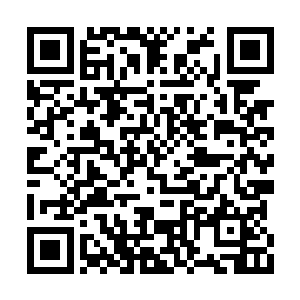 你弟弟金翅大鹏鸟还跑到我们蜀山之中去放肆了二维码生成