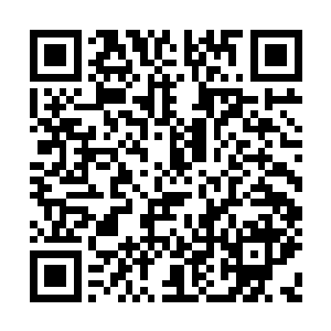 你张进跳出来张牙舞爪一副不给人家说话的样子二维码生成