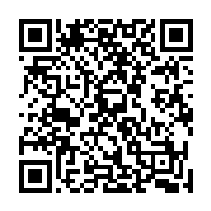 你当你要真的骗了我的钱你家欢喜哥有那么容易放过你吗二维码生成