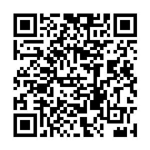 你当初娶我不就行了嘛……你为什么要入赘啊……二维码生成