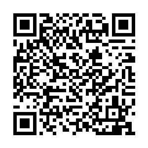 你当初说过的我只要成亲有了孩子您就不打我了二维码生成