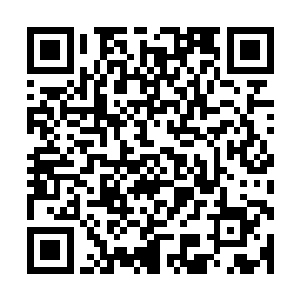 你得让你的叶秋哥哥愿意帮助你一点一点地脱离对血液的迷恋二维码生成