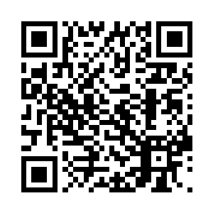 你得问问我身后的宁家人同意不同意了二维码生成