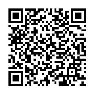 你忘了上一次李峰在生死斗当中可是狠狠的坑了赌斗场一次的二维码生成