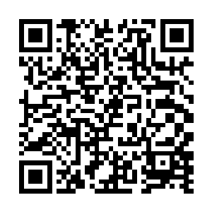 你快来啊……我们家……我们家好多好多金子啊……二维码生成