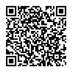 你快看论坛上……你知道这战斗机停到我们学校操场是为了什么吗二维码生成