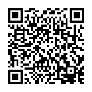 你怎么会败给他你不是我们洛家的第二高手么如果连你都败了二维码生成