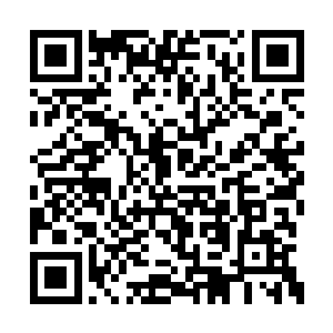 你怎么知道我们俩离家出走之后就一定会饿死啊二维码生成