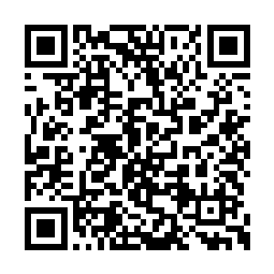 你总不可能是专程为了斩杀聂辰才来的亡灵墓地二维码生成
