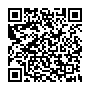 你总不能要求人家还给咱们提供日常花销的钱吧二维码生成