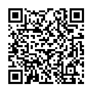 你想出现在明天湖西日报甚至山南省日报的头条吗二维码生成