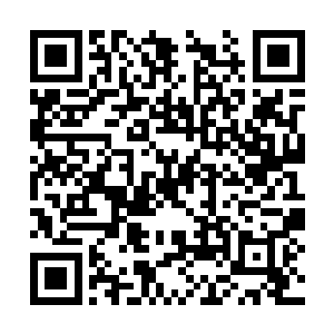 你想办法让前面的仙兽帮忙通知一下这里的仙兽王二维码生成