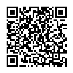 你想把这些东西留给诺曼帝国那些来接收的混蛋……二维码生成