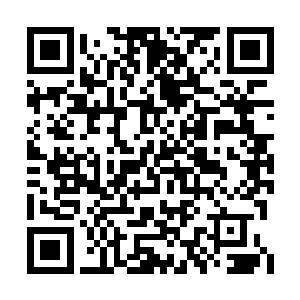 你想要什么我都给你……我不会再觊觎安少……二维码生成