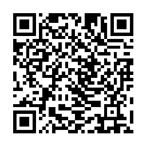 你想让这些人陪你一起死还是想让你那些朋友陪你一起死二维码生成