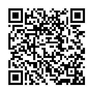 你愿意对过去几个月来拒绝采访的无礼行为道歉吗二维码生成