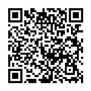 你愿意自我牺牲像一个真正的雌性一样孕育你的孩子吗二维码生成