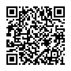 你手里那些增加寿命的丹药全都可以提升实力的二维码生成