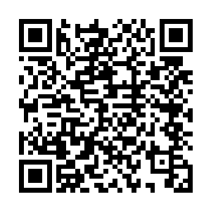 你打算以绝世境三炼的修为来挑战我这个绝世境一炼吗二维码生成