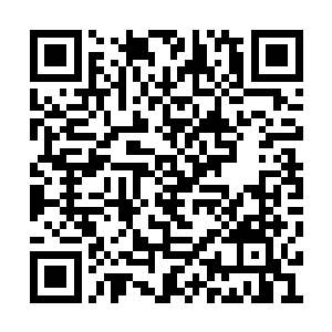 你打算和茱蒂两个人就把这几只华夏猴子解决了二维码生成