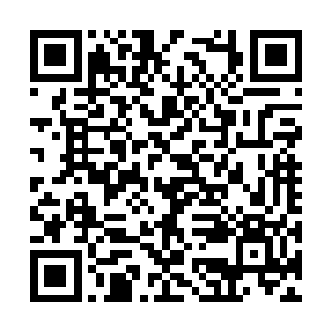 你找孤岛的目的就在意找出另外一个百毒不侵之人二维码生成