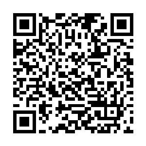 你把佐藤家族在大日帝国的主要势力分布跟我说一下二维码生成