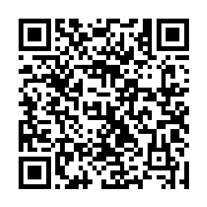 你把大毛拎房间去告诉你不论什么鬼东西都靠近不了你二维码生成