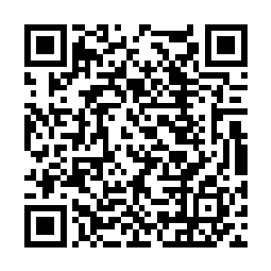 你把这下面镇守阵眼的弟子叫出来问问不就清楚了二维码生成