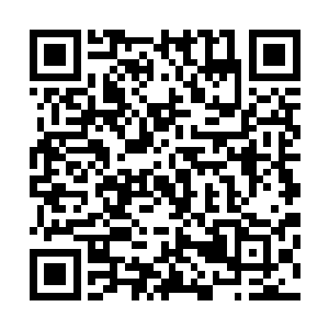 你拿拿拿的拿了八百次居然还在问……你是来涮老子的不成二维码生成