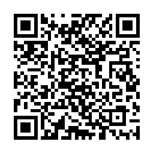 你拿的是我的牙刷……你从昨天开始就有些心不在焉二维码生成