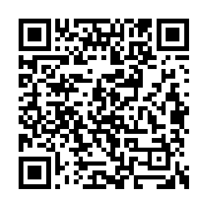 你插手越南问题在事实上已经干涉到了中国内政二维码生成