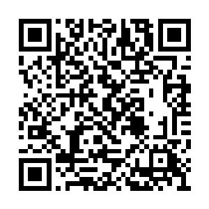 你放心大哥哥一定会好好照顾你家小梨子姐姐的二维码生成