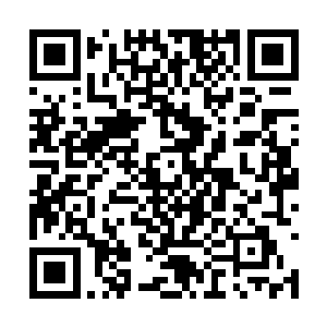 你施展预言术的时候是不是都会有这么强烈的反应二维码生成