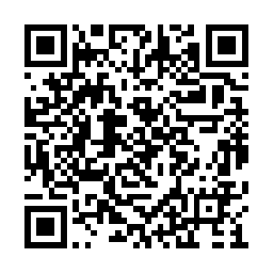 你无需多虑――成仙后只要不陨落就是时光漫漫二维码生成