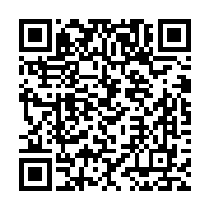 你既然能在两个月的时间里将实力提升到归元境后期二维码生成