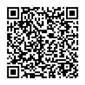 你早晚有一天可以让那个姓杨的畜生百倍偿还你以前不都是很自信的吗二维码生成