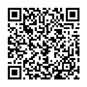 你昨天不是告诉我那是玩具枪吗……我也不活了……千羽二维码生成