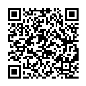 你是不是也在奇怪罗浮仙国和妖族为什么会不战而退二维码生成