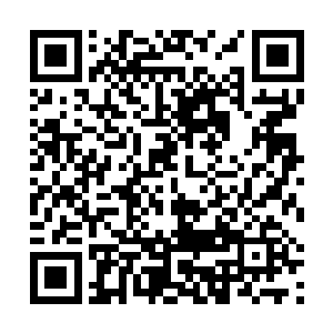 你是不是也跟黑客帝国没上映之前那些报纸上说的似的二维码生成