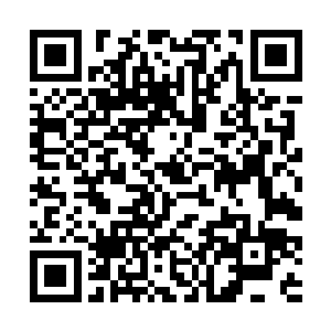 你是不是想要掩盖你拿了那位副局家里一百万的事实二维码生成