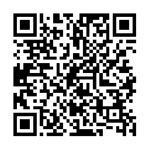 你是不是认为你接住了我几招热身的招式就可以和我抗衡了二维码生成